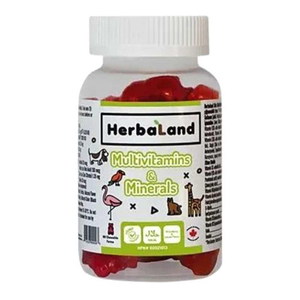 Herbaland Kids Multivitamin ve Mineral Multivitamin 60 Çiğnenebilen Tablet