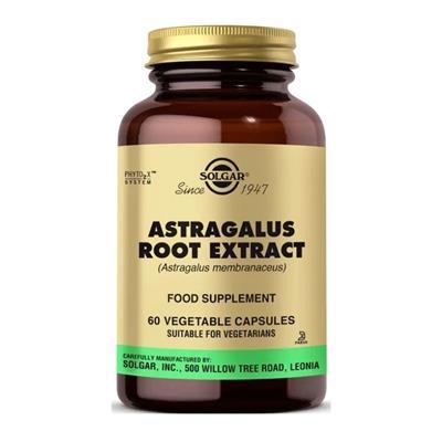 Solgar Astragalus Root Exrat 60 Kapsül