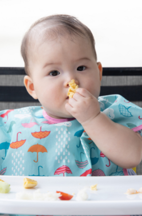 Bebeklerde Ek Gıdaya Ne Zaman Başlanır?